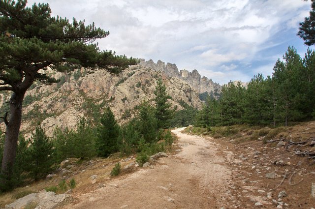 0141 Col de Bavella.jpg - SONY DSC